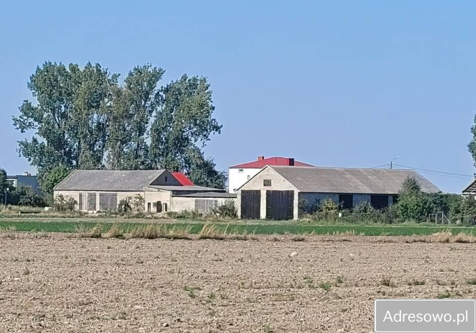 gospodarstwo Długie. Zdjęcie 3