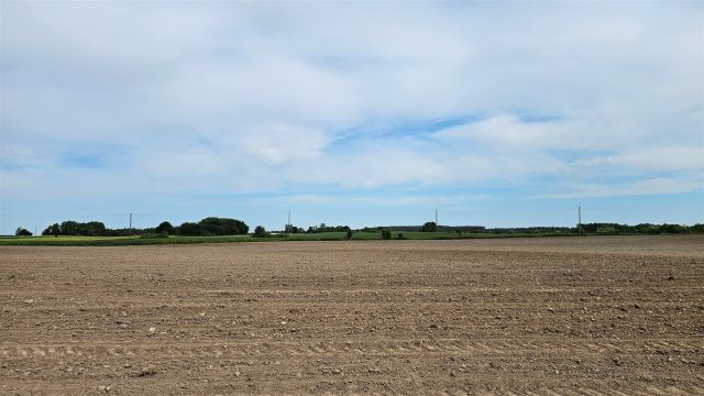 Działka rolna Dziubiele. Zdjęcie 20