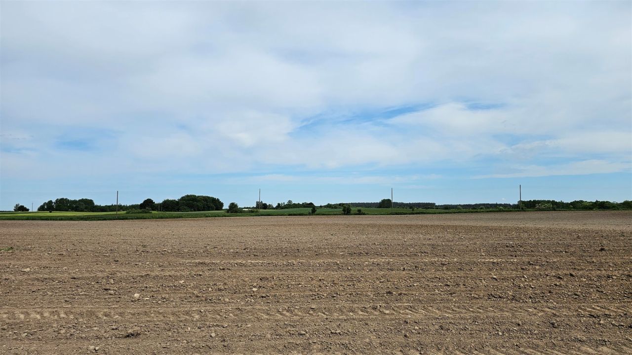 Działka rolna Dziubiele. Zdjęcie 20