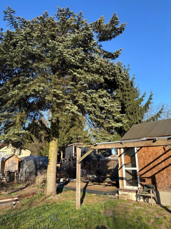 Działka rod Warszawa Targówek, ul. Bystra. Zdjęcie 5