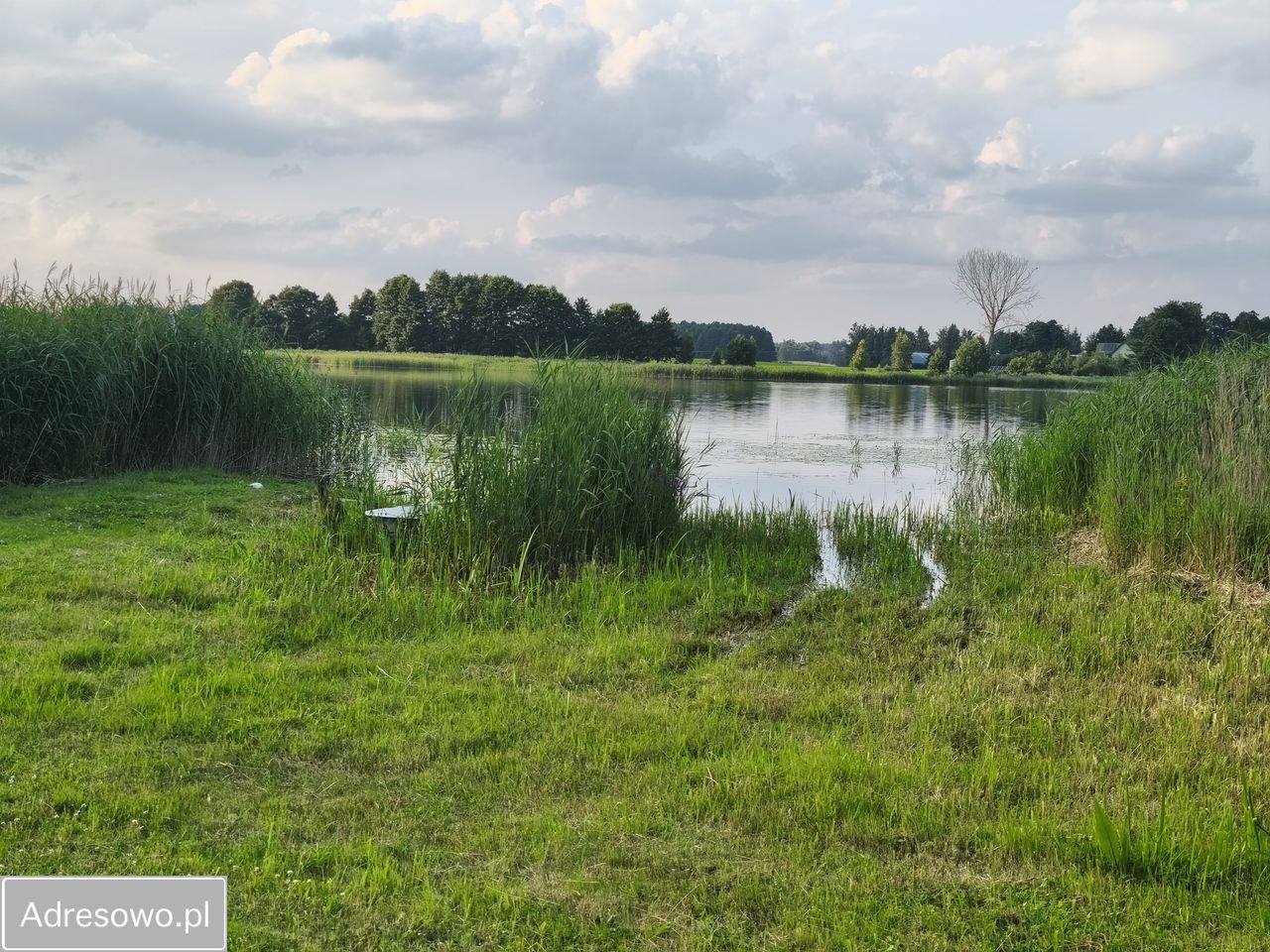 Działka siedliskowa Dreństwo. Zdjęcie 11