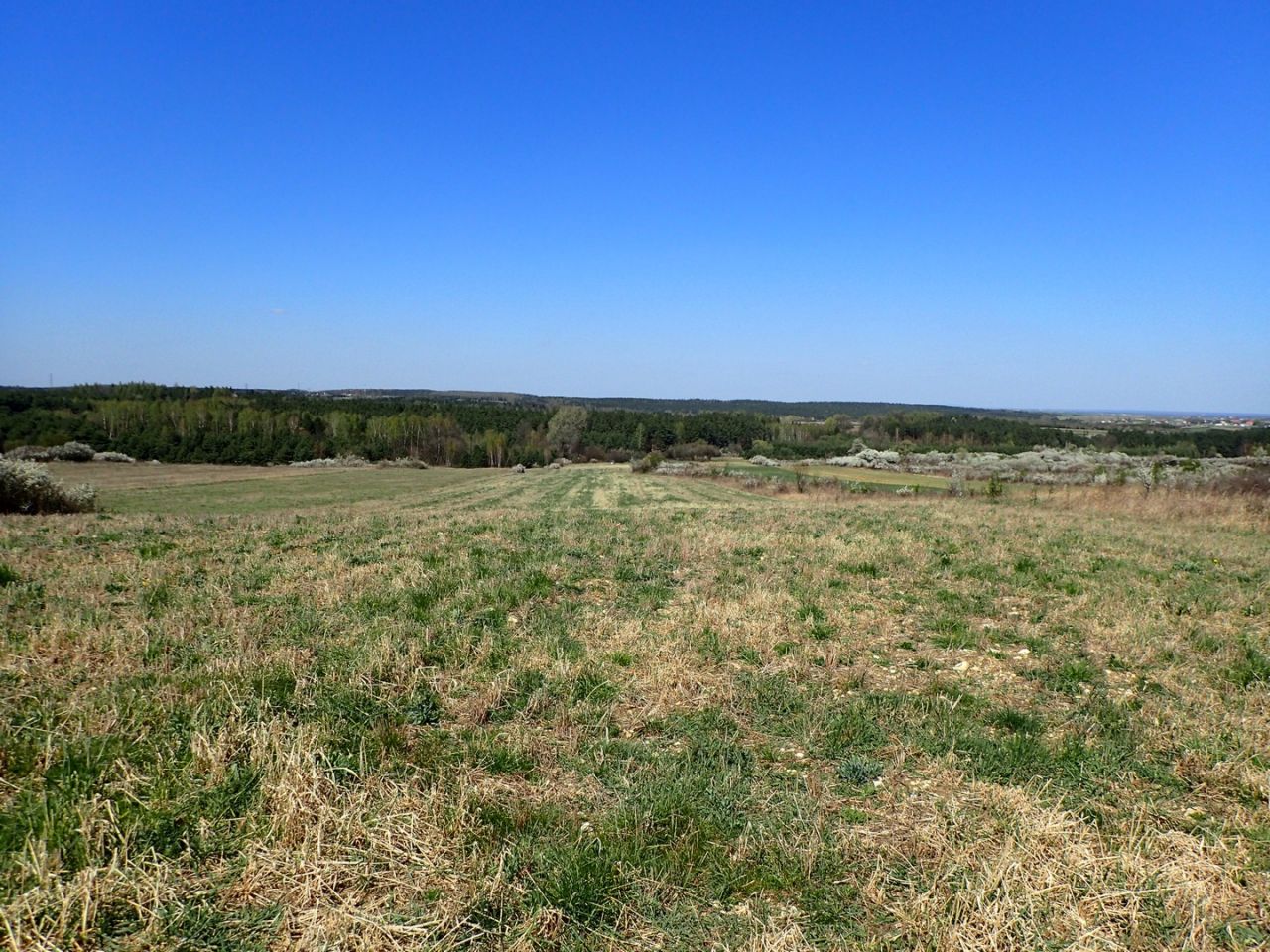 Działka rolna Siedlec. Zdjęcie 2