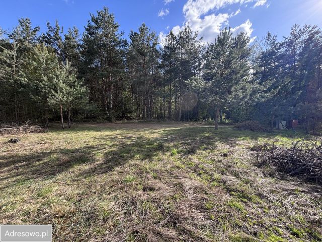 Działka budowlana Brzeźno, ul. Sosnowa. Zdjęcie 1