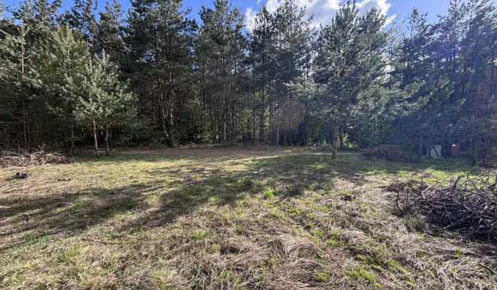 Działka budowlana Brzeźno, ul. Sosnowa