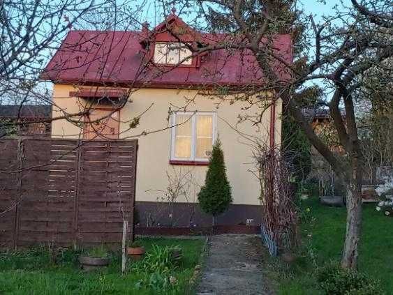 Działka rod Mława. Zdjęcie 2
