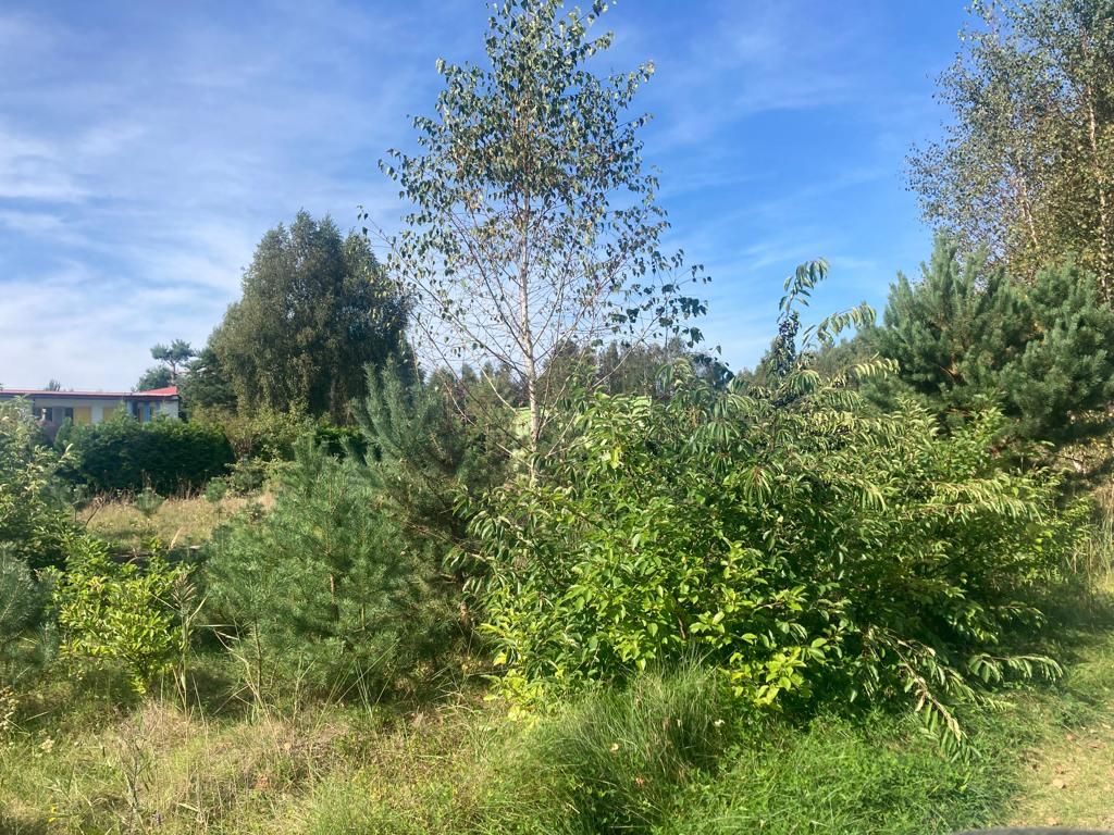 Działka inwestycyjna Mrzeżyno, ul. Brzozowa. Zdjęcie 6