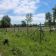 Działka budowlana Gajewniki. Zdjęcie 4