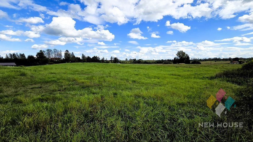 Działka Zerbuń. Zdjęcie 5