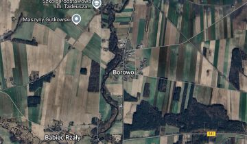 Nieruchomość komercyjna Borowo