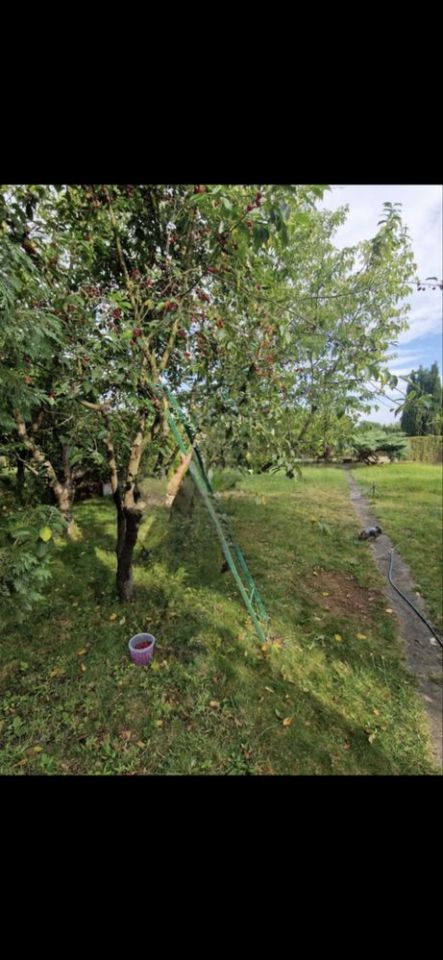 Działka rod Żagań. Zdjęcie 2