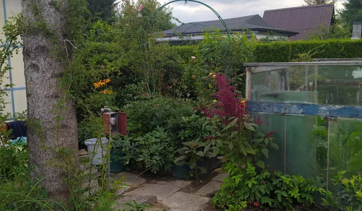 Działka rod Nowy Sącz Nowa Kolonia, ul. 29 Listopada