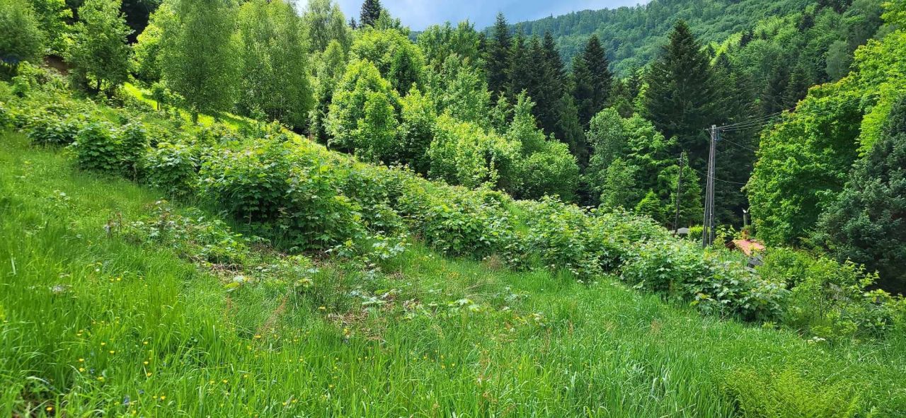 Działka budowlana Brenna. Zdjęcie 4