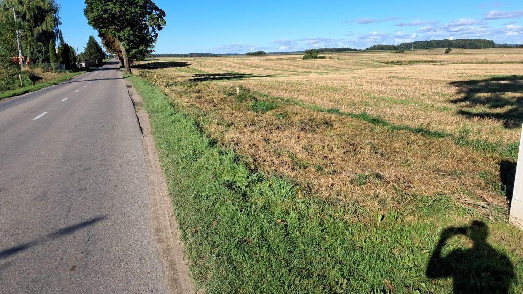 Działka budowlana Żelistrzewo, ul. Kasztanowa. Zdjęcie 6