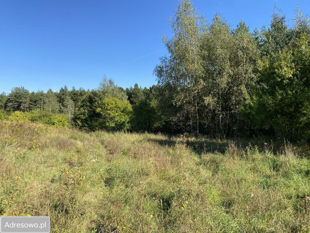 Działka budowlana Żórawie, ul. Malinowa. Zdjęcie 1