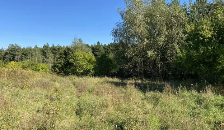 Działka budowlana Żórawie, ul. Malinowa