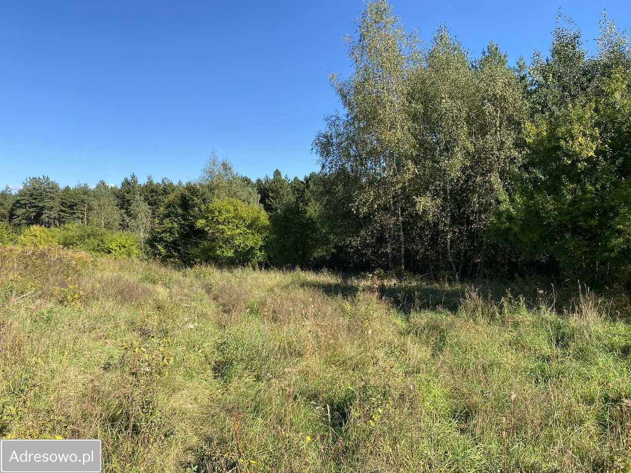 Działka budowlana Żórawie, ul. Malinowa. Zdjęcie 1