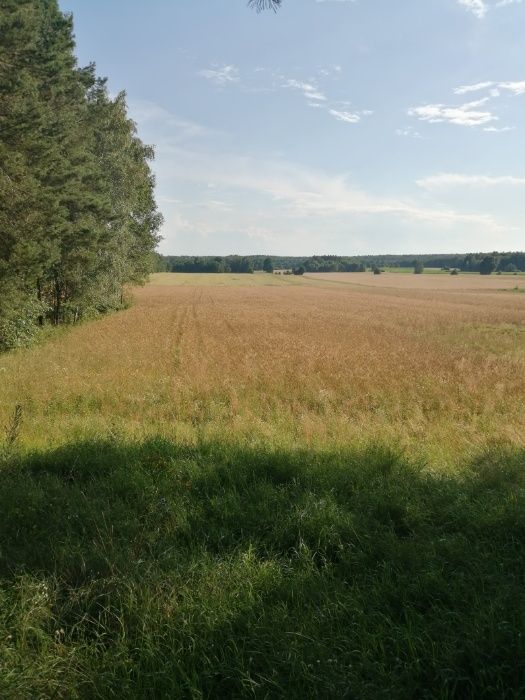 Działka inwestycyjna Pokaniewo-Kolonia. Zdjęcie 4