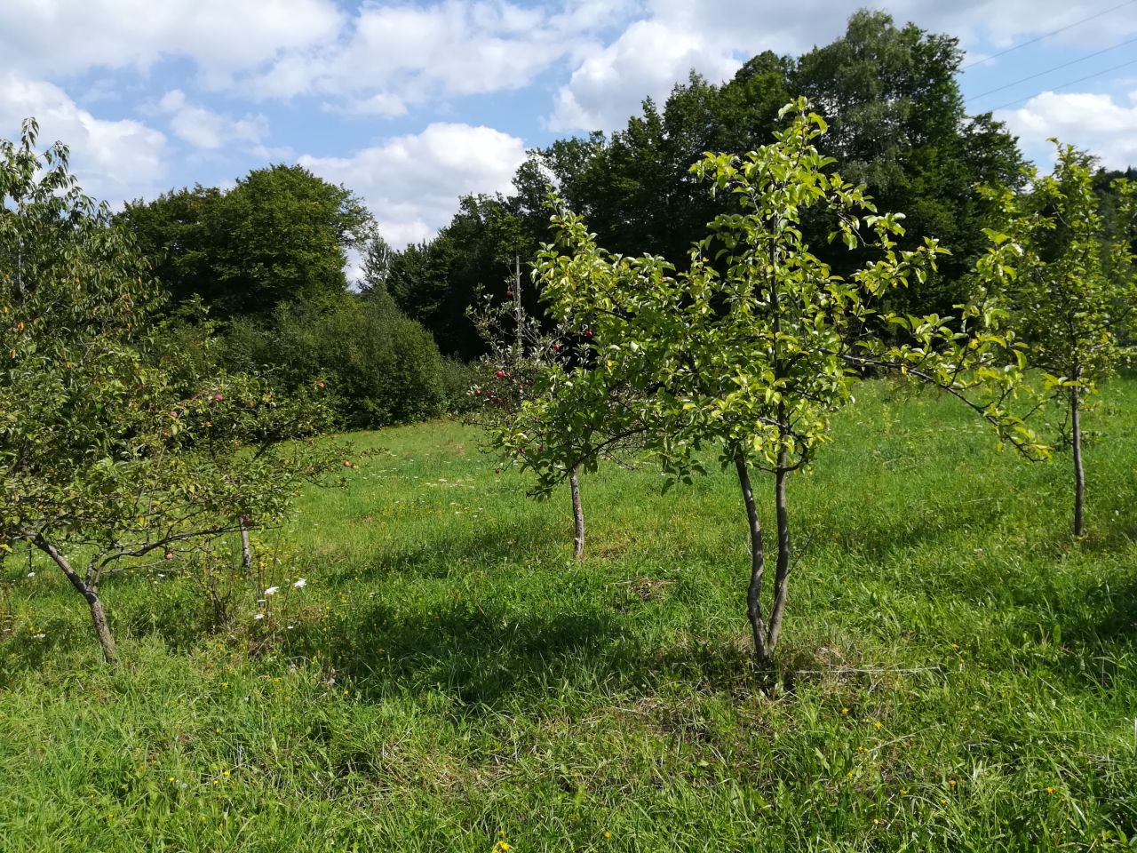 Działka inna Skawinki, ul. Leszczynowa. Zdjęcie 7