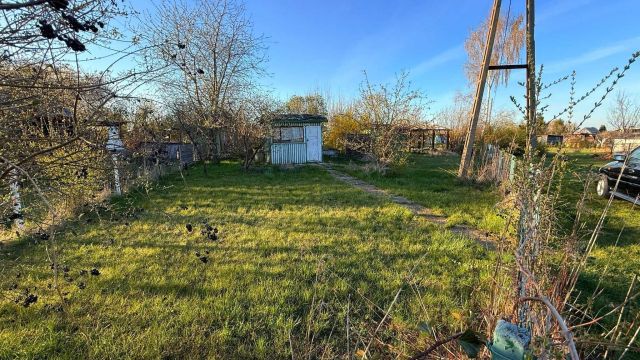 Działka rod Świdnica. Zdjęcie 1