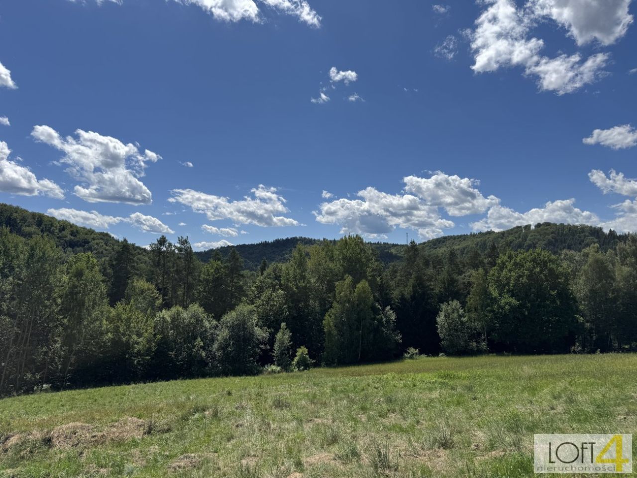 Działka budowlana Paleśnica. Zdjęcie 10