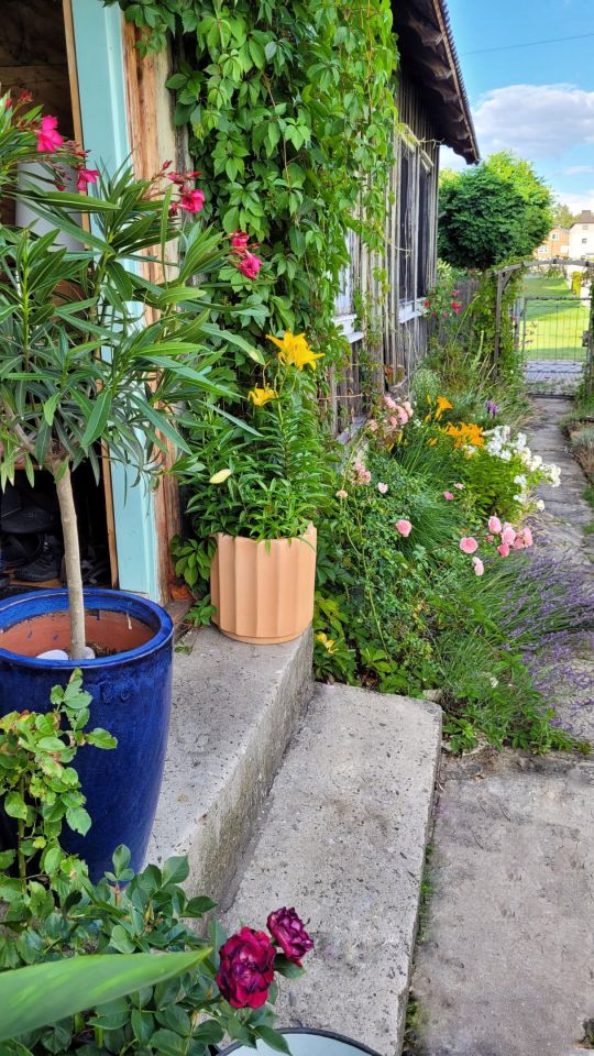 dom wolnostojący, 2 pokoje Włodowice, N. Zdjęcie 24