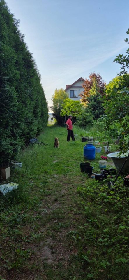 dom wolnostojący, 5 pokoi Sadów Kopce, ul. Powstańców Śląskich. Zdjęcie 83