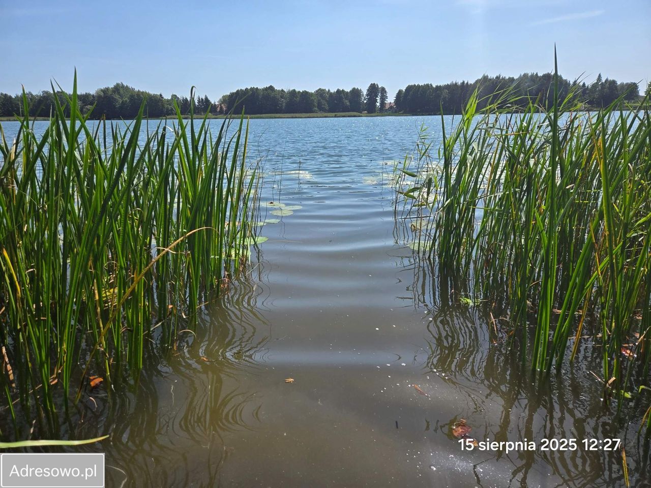 Działka budowlana Gordejki. Zdjęcie 5