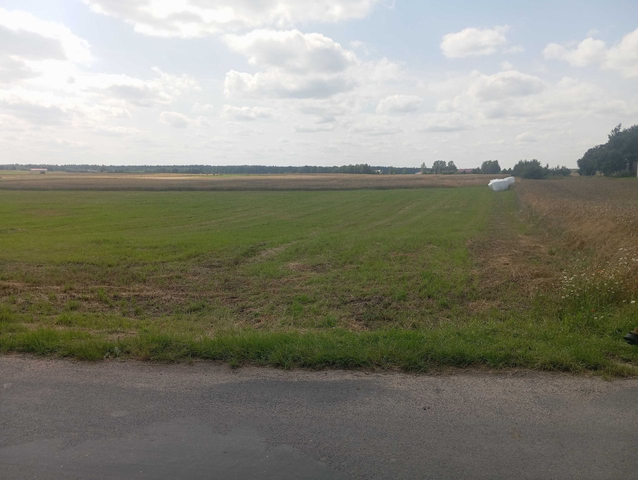 Działka rolno-budowlana Starzykowo. Zdjęcie 4