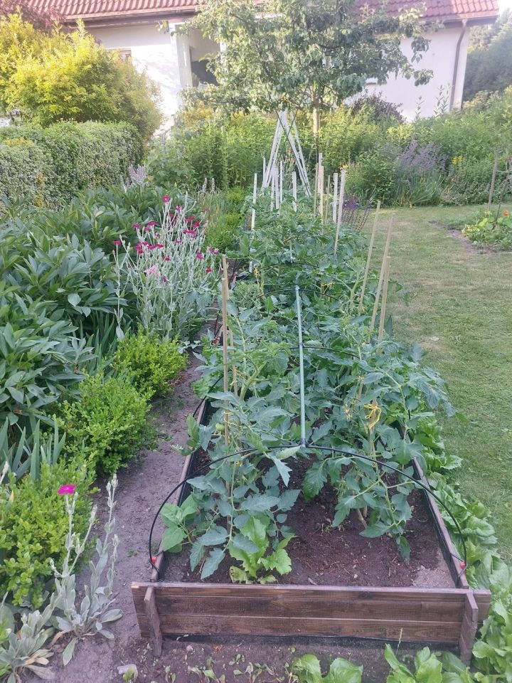 dom wolnostojący, 5 pokoi Przasnysz, ul. Zawodzie. Zdjęcie 8