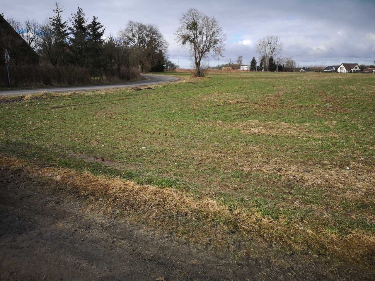 Działka budowlana Kozielec. Zdjęcie 2