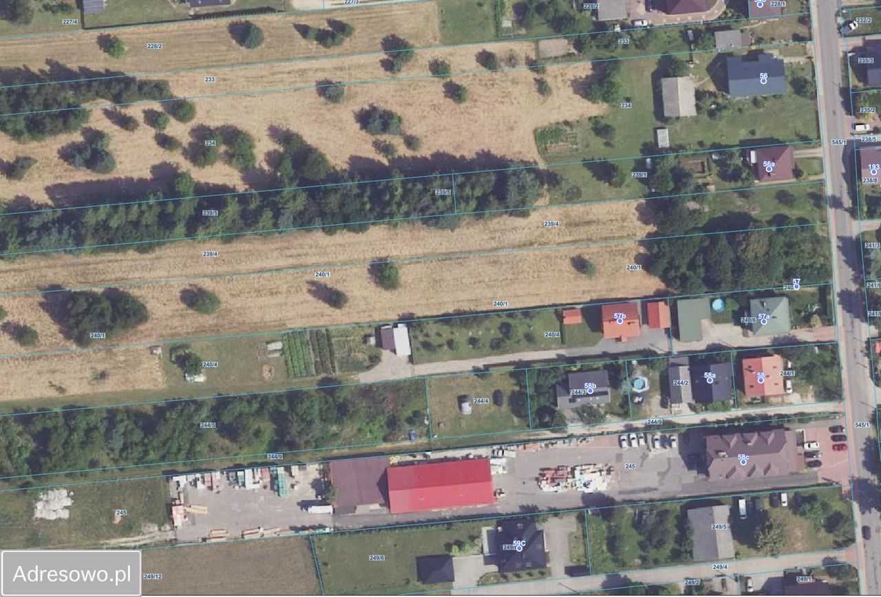 Działka rolno-budowlana Osiek. Zdjęcie 6