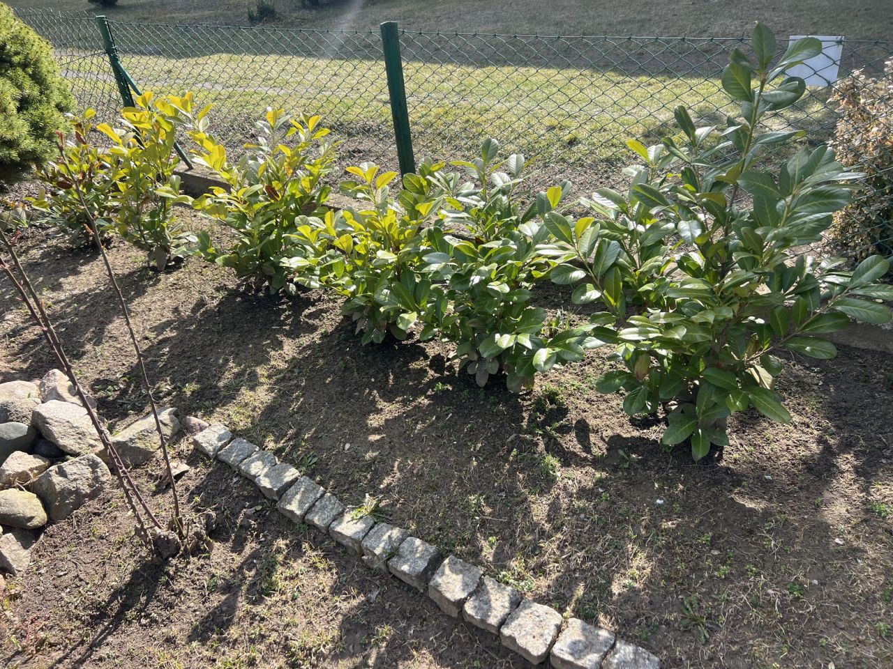 Działka rod Poznań, ul. Władysława Sikorskiego. Zdjęcie 7