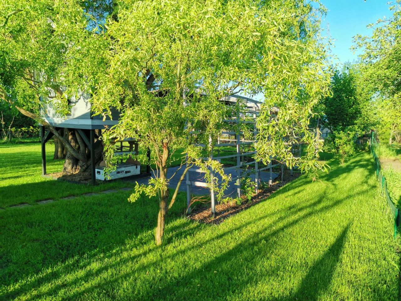 Działka rod Wrocław Jagodno, ul. Konduktorska. Zdjęcie 7