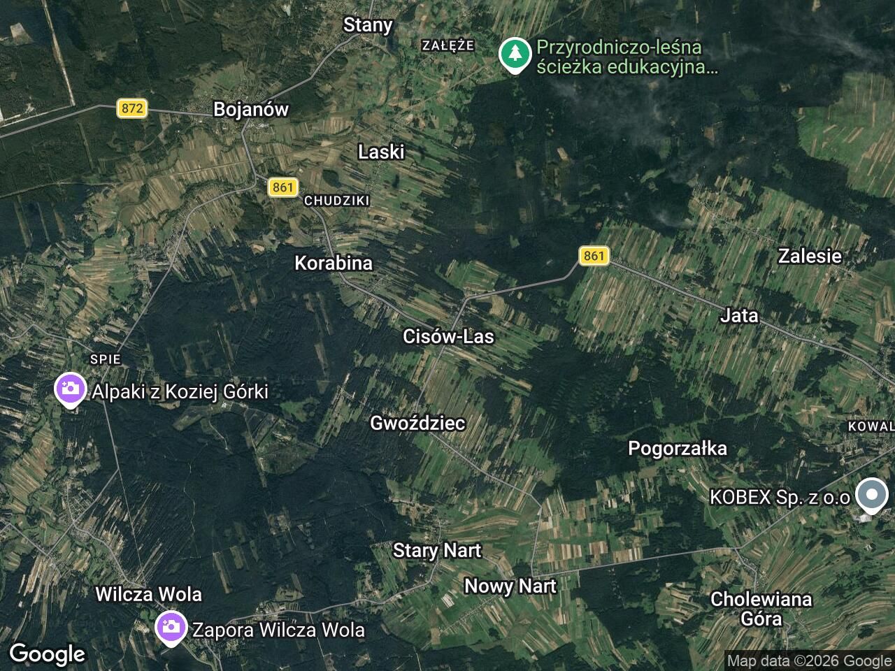 Działka rolna Cisów-Las. Zdjęcie 1