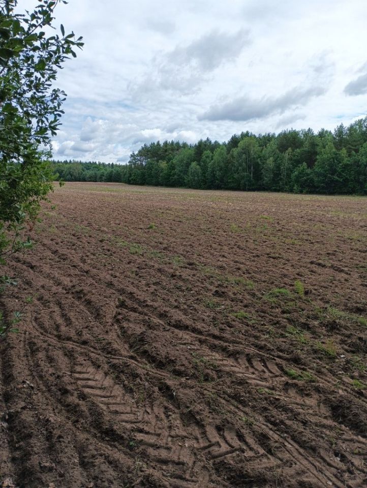 Działka rolna Grabowy Las. Zdjęcie 4