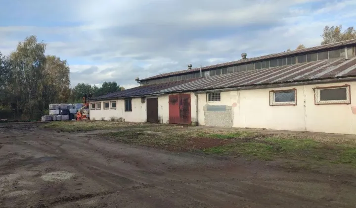 Hala/magazyn Polkowice, ul. Strzelecka