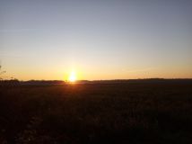 Działka rolna Joaniów. Zdjęcie 1