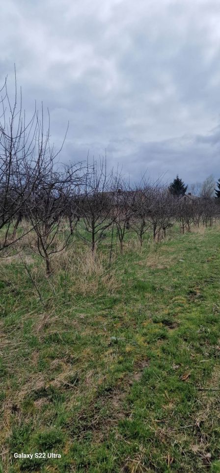 Działka rolno-budowlana Szczekarków. Zdjęcie 4