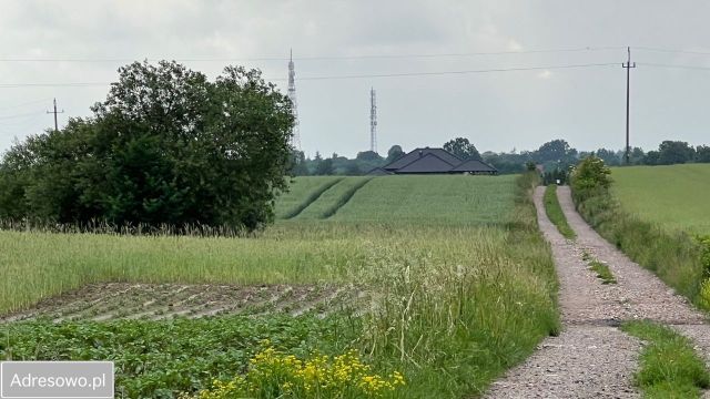 Działka rolno-budowlana Osielsko. Zdjęcie 1