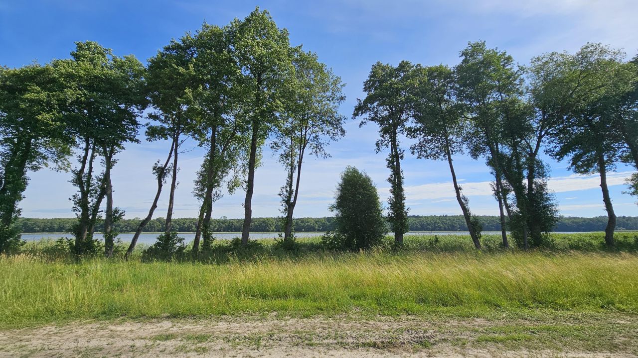 Działka rod Wierzchowo. Zdjęcie 3