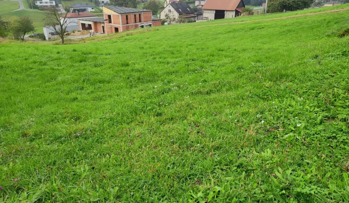 Działka budowlana Połomia, ul. Centralna