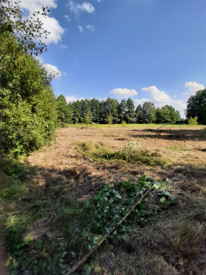 Działka rolna Michałów. Zdjęcie 8