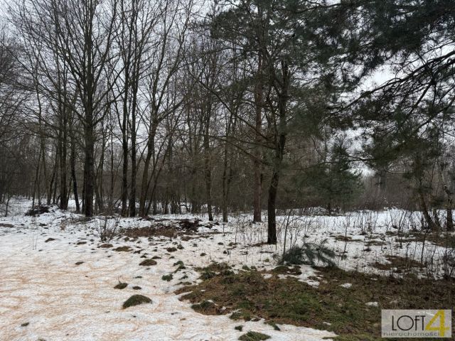 Działka rolno-budowlana Szarwark. Zdjęcie 15