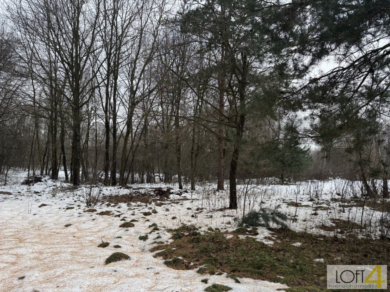 Działka rolno-budowlana Szarwark. Zdjęcie 15