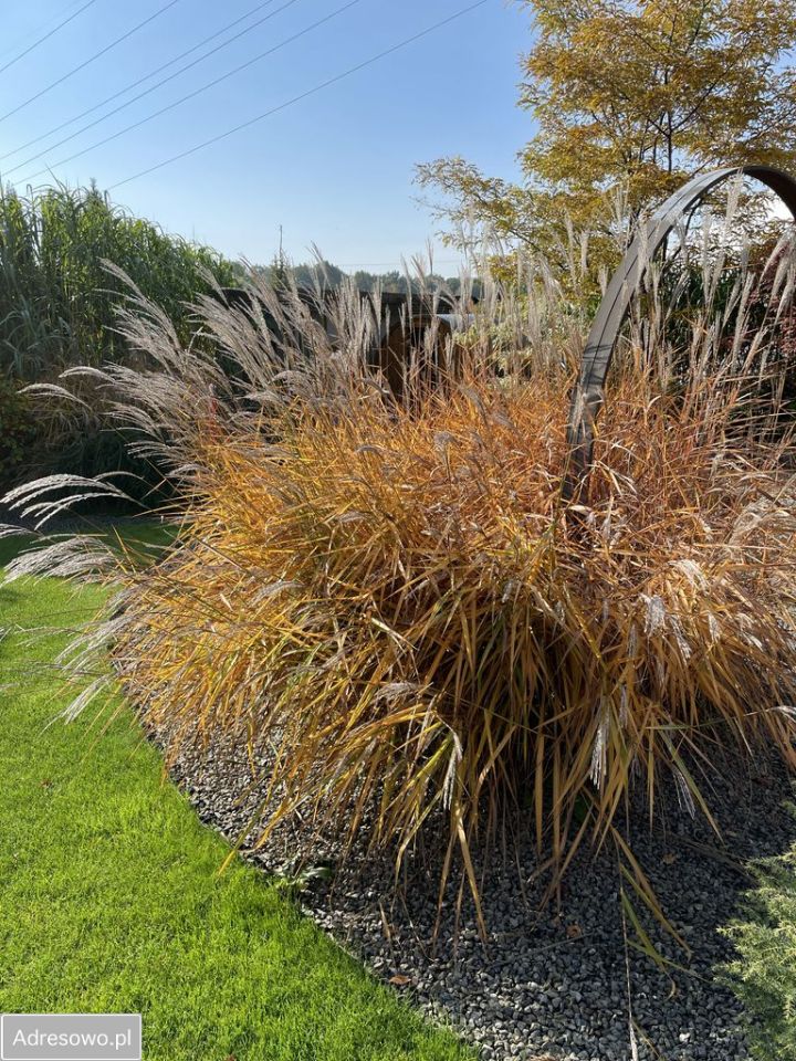 dom wolnostojący, 4 pokoje Mysłowice, ul. Graniczna. Zdjęcie 5