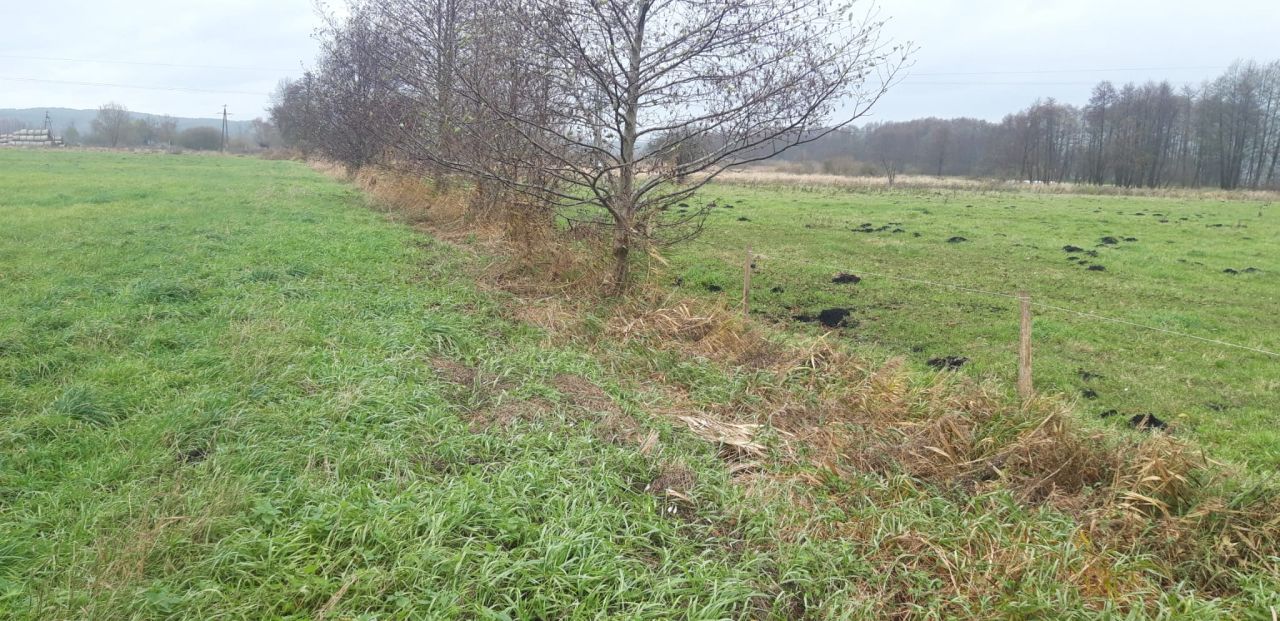 Działka budowlana Łącznica. Zdjęcie 6