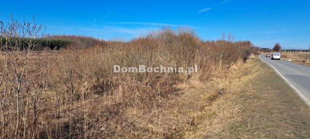 Działka inwestycyjna Borek. Zdjęcie 10