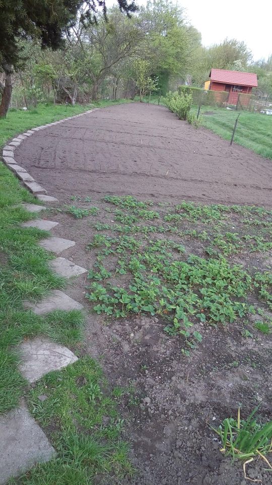 Działka rod Chełm. Zdjęcie 3