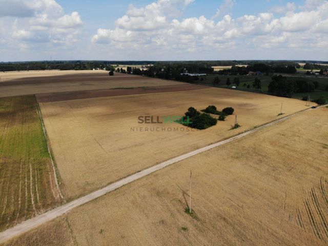 Działka inwestycyjna Złotniki. Zdjęcie 5