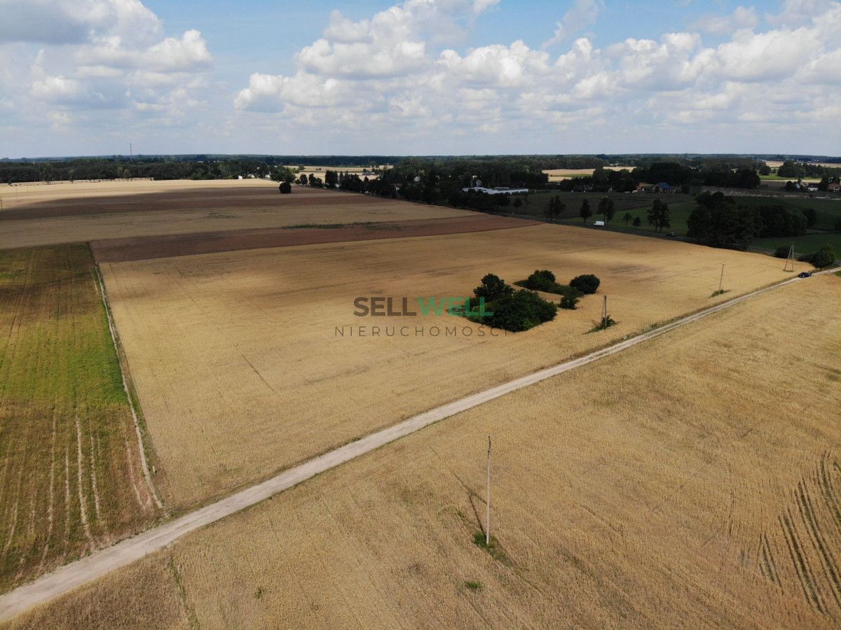 Działka inwestycyjna Złotniki. Zdjęcie 5